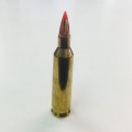 22-250 Remington (4)