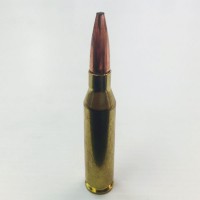 260 Remington