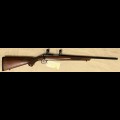 Ruger 77/22 22LR Tag FJ526 NFID F00007731