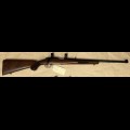 Ruger 77/22 22LR Tag EX037 NFID F00007731
