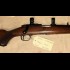 Ruger 77/22 22LR Tag EX037 NFID F00007731
