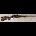Howa CMC Mountaineer 22-250REM TAG FE570 NFID F00009343
