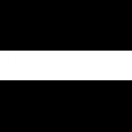 Berreta (1)