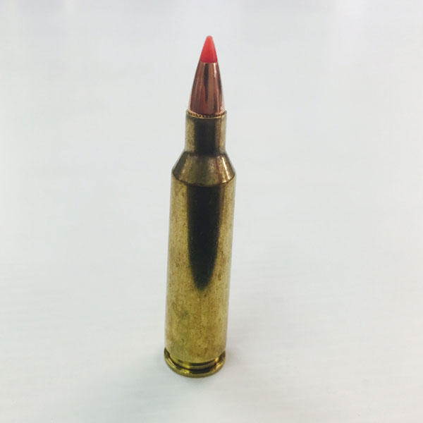 22-250 Remington - Fisher Firearms